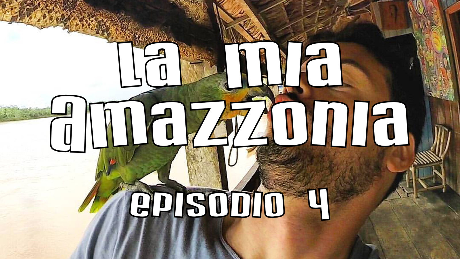 Pappagalli romantici