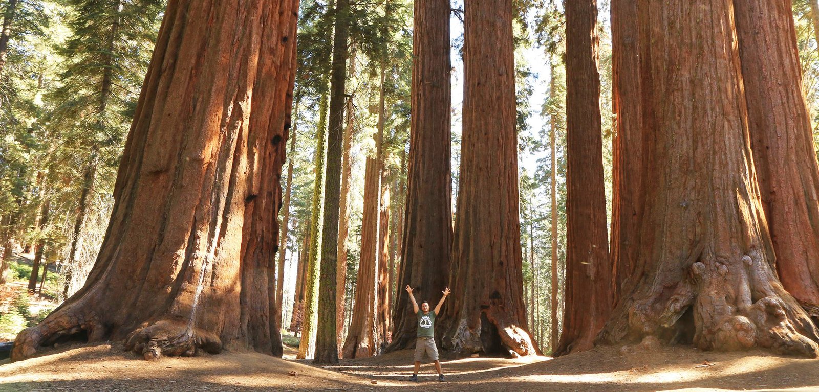 Stati Uniti on the road