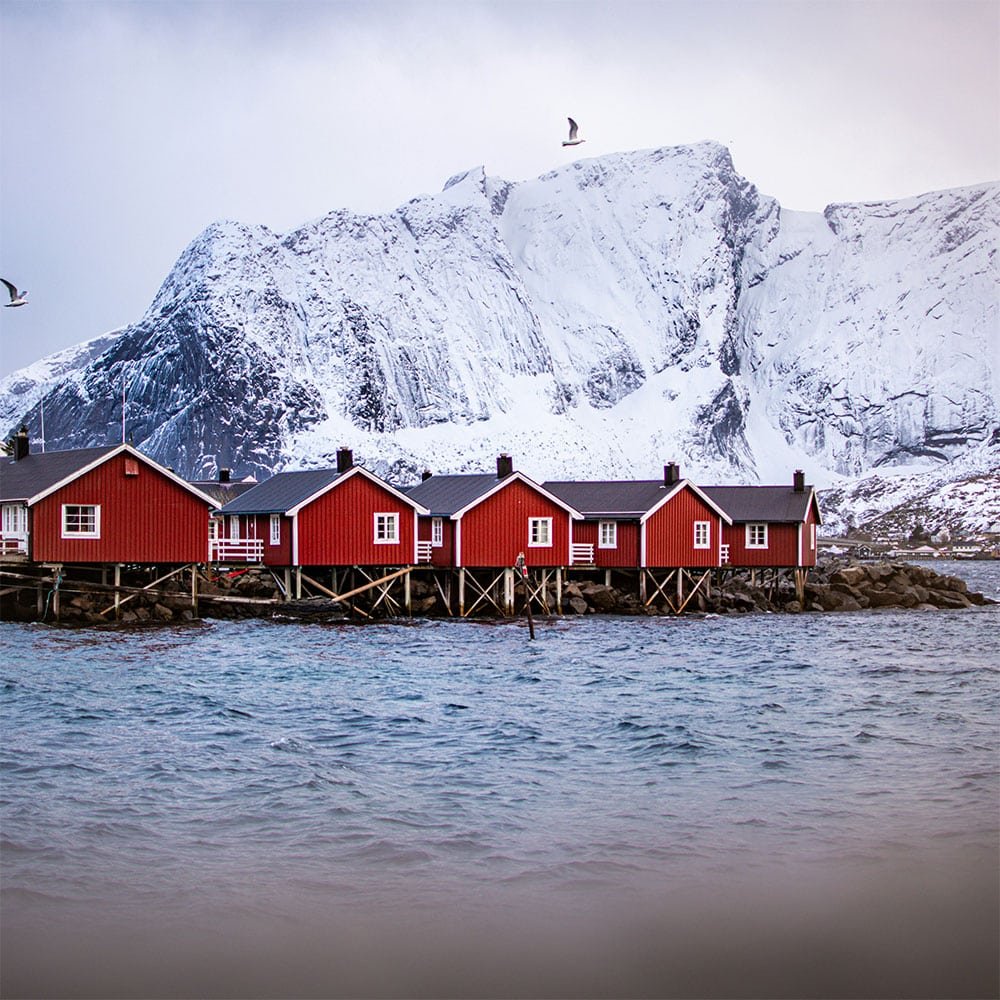 Lofoten: aurore boreali