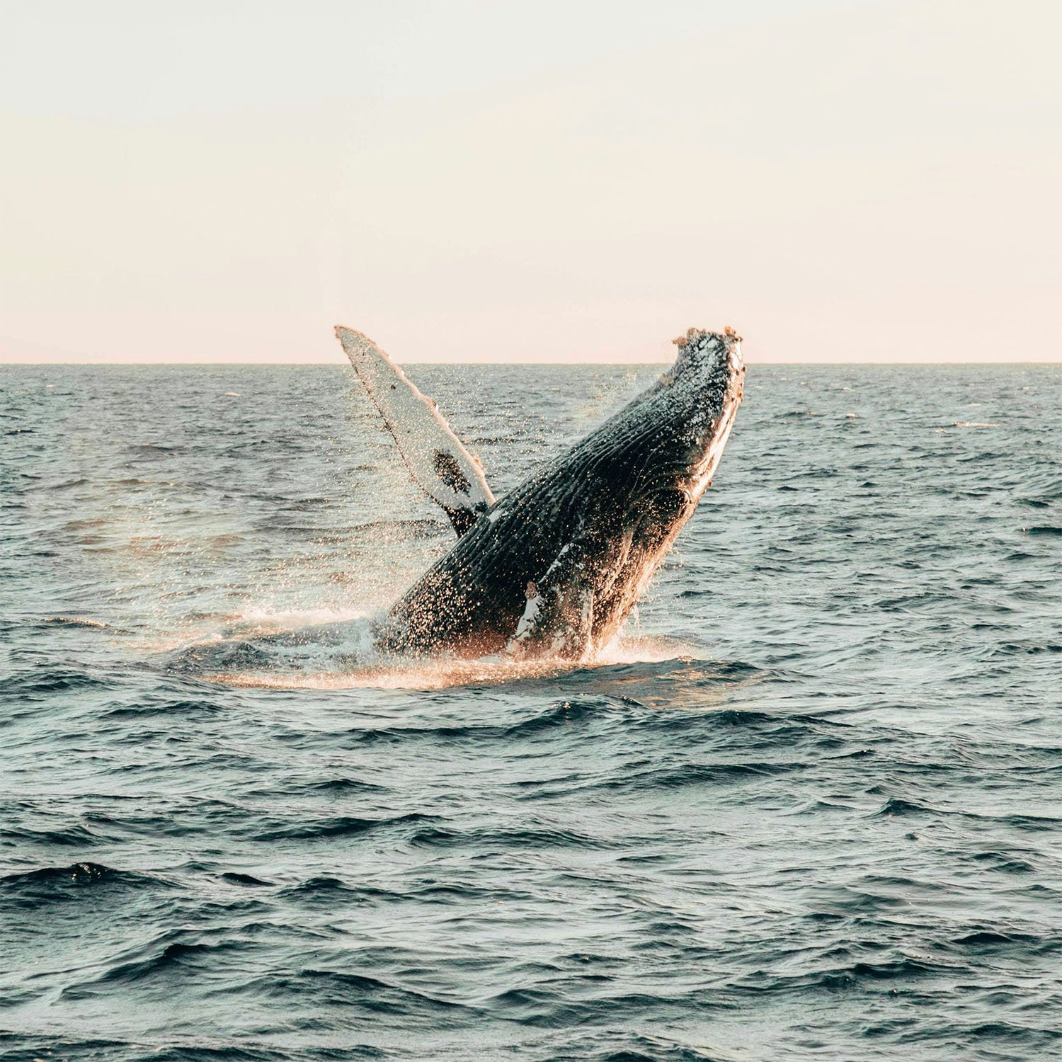 Avventura in Colombia Avventura in Colombia