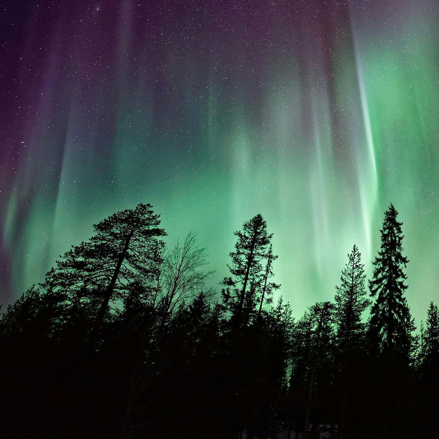 Isole Lofoten: a caccia di aurore