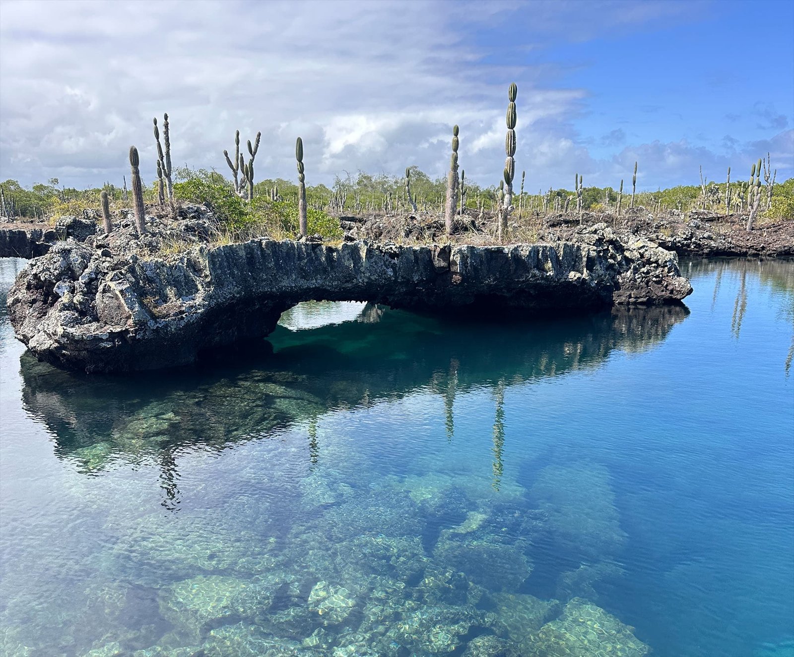 Los Tuneles, Isla Isabela, Galapagos