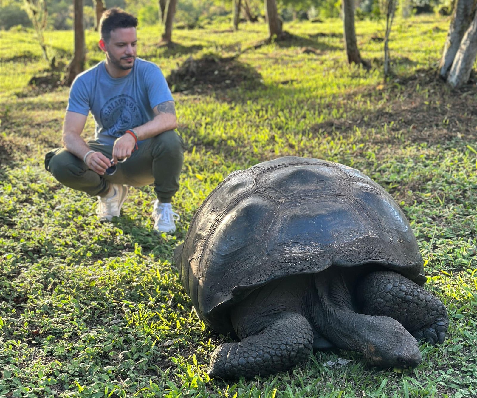 Tartarughe giganti delle Galapagos