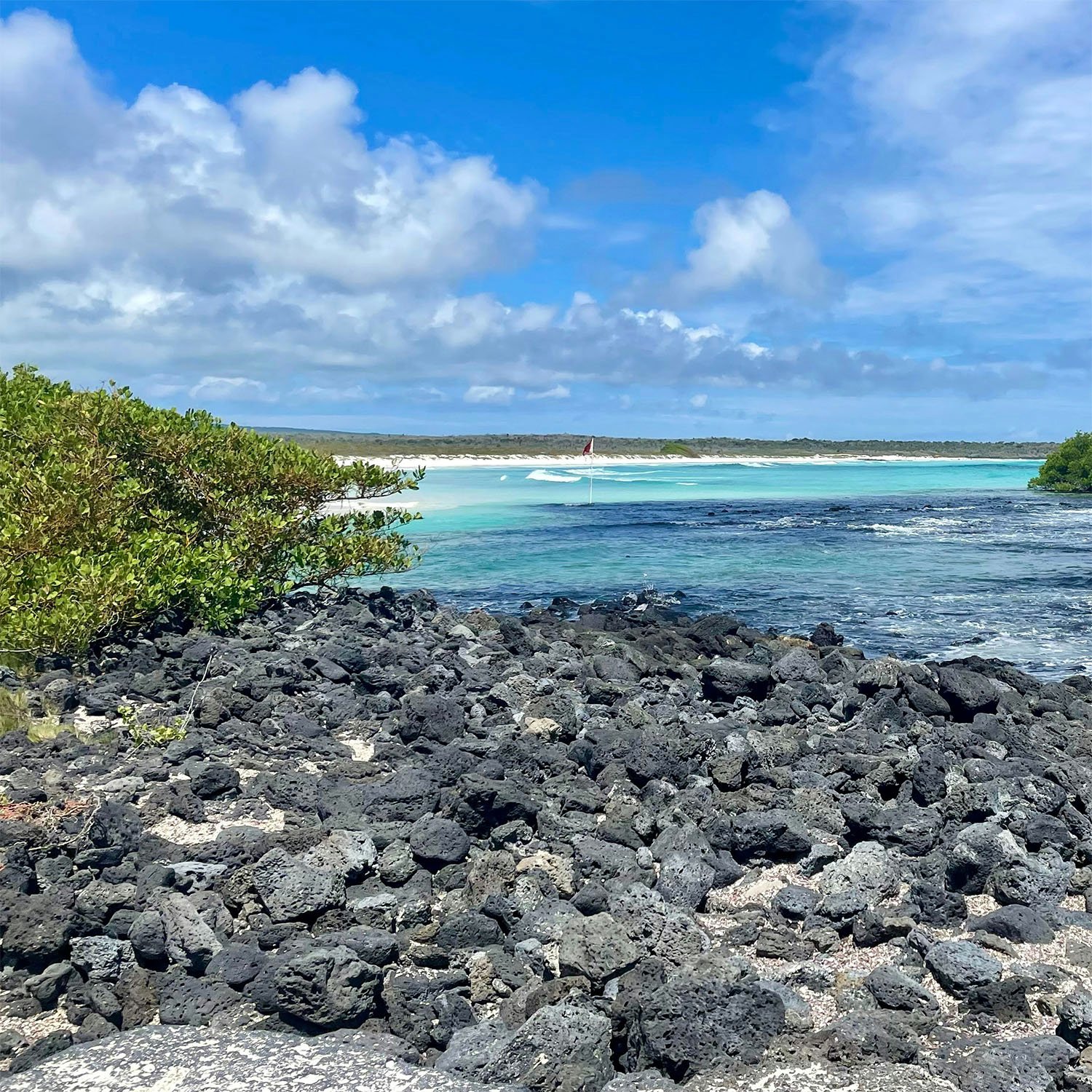 Spiagge vulcaniche Galapagos