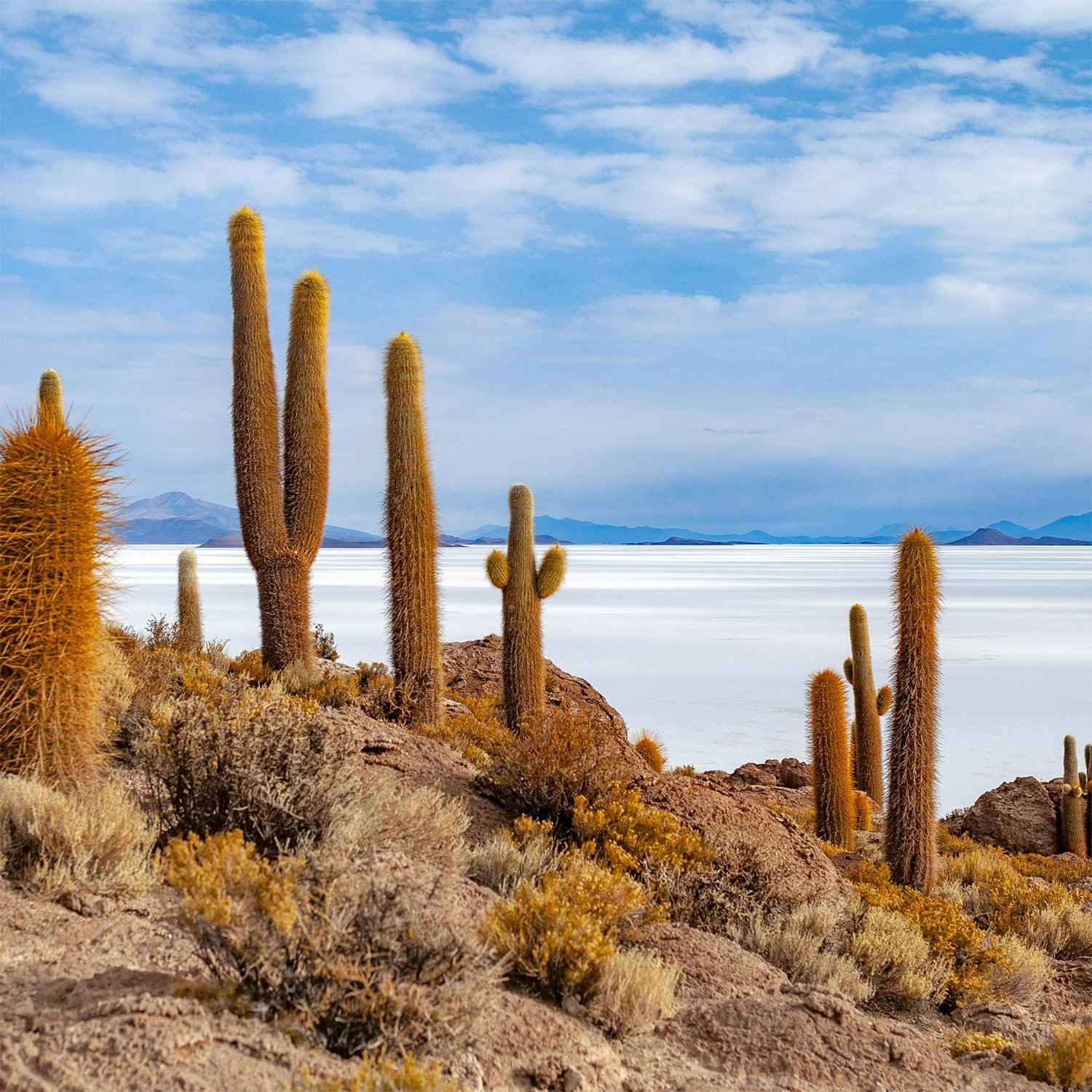 Salar de Uyuni