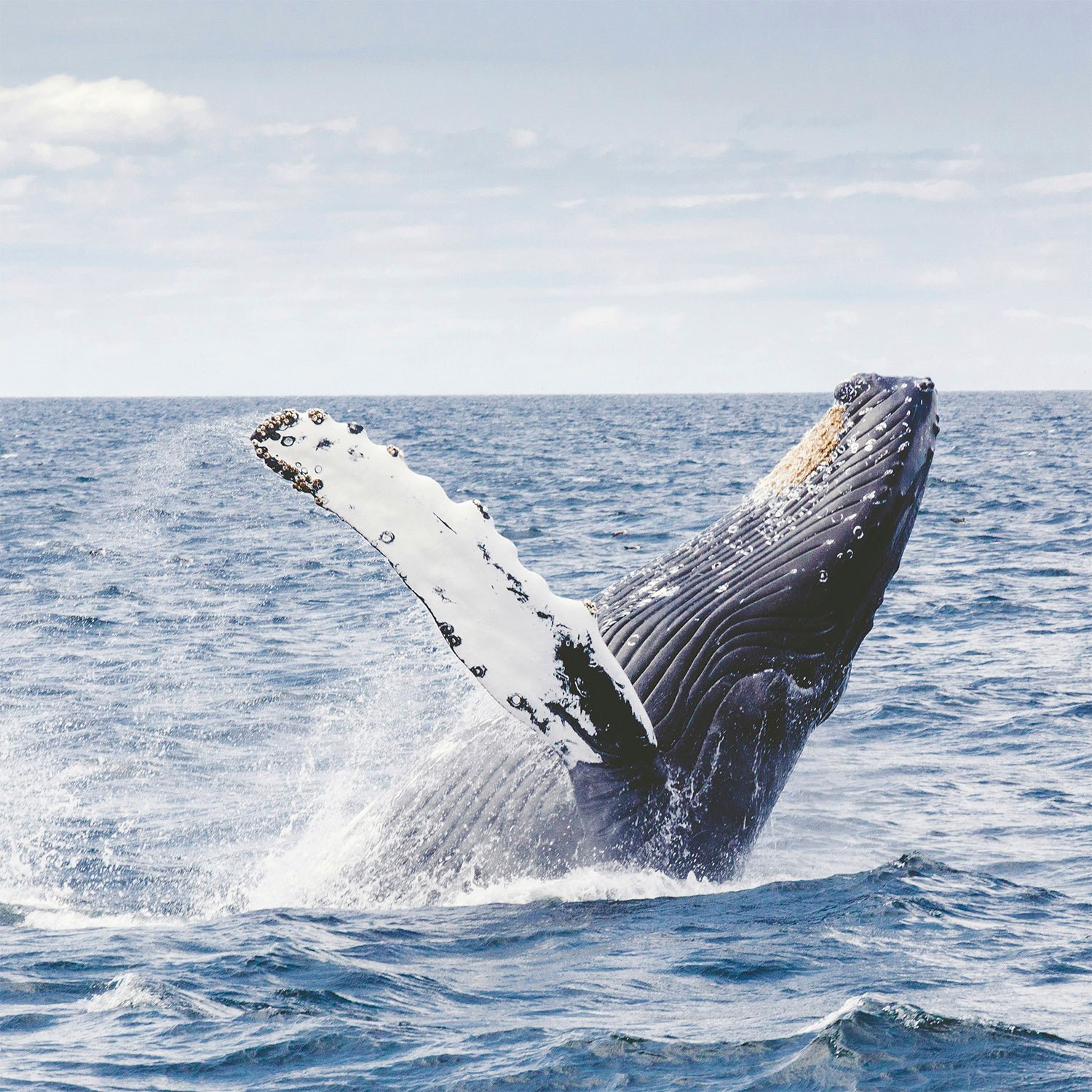 Colombia selvaggia e Amazzonia